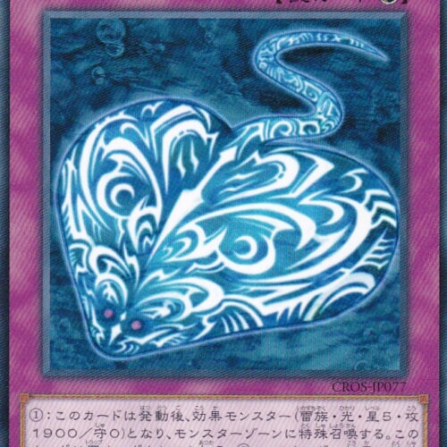 CROS-JP077-N