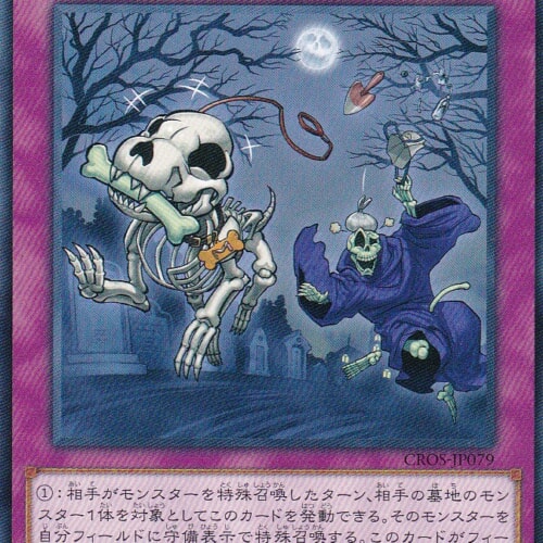 CROS-JP079-N