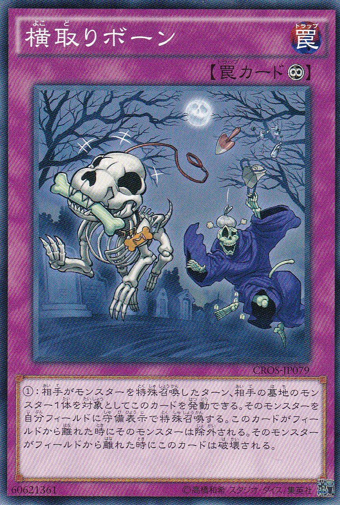 CROS-JP079-N