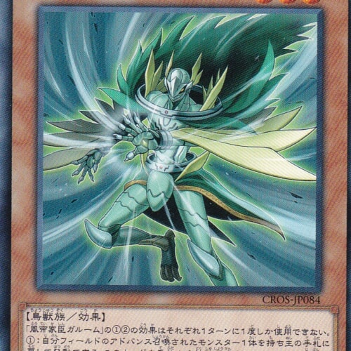 CROS-JP084-R