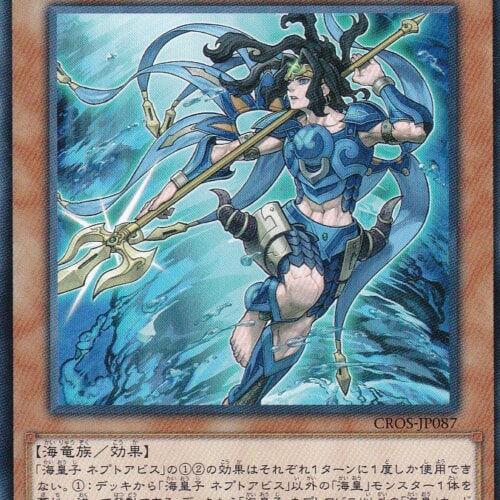 CROS-JP087-R