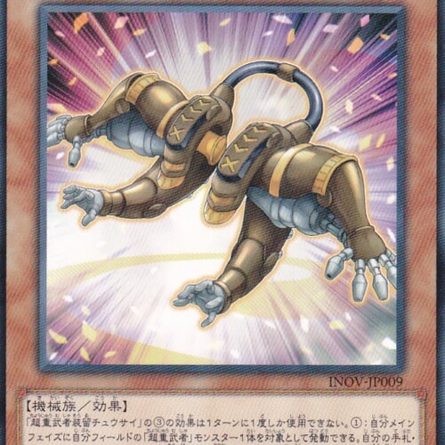 INOV-JP009-R