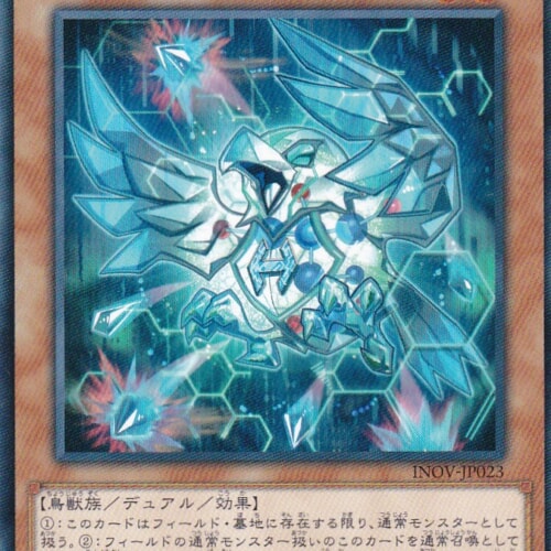 INOV-JP023-N