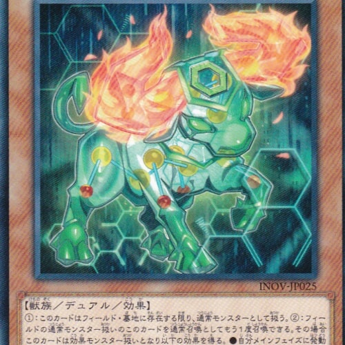 INOV-JP025-N