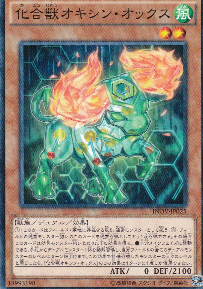 INOV-JP025-N