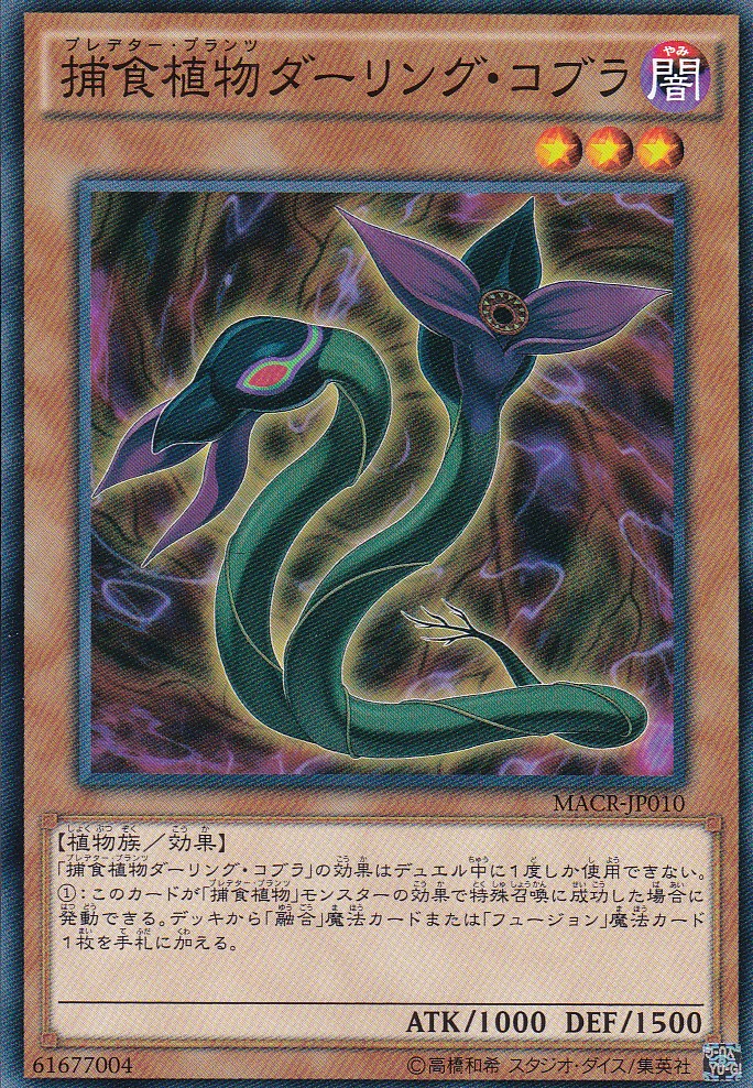 MACR-JP010-N