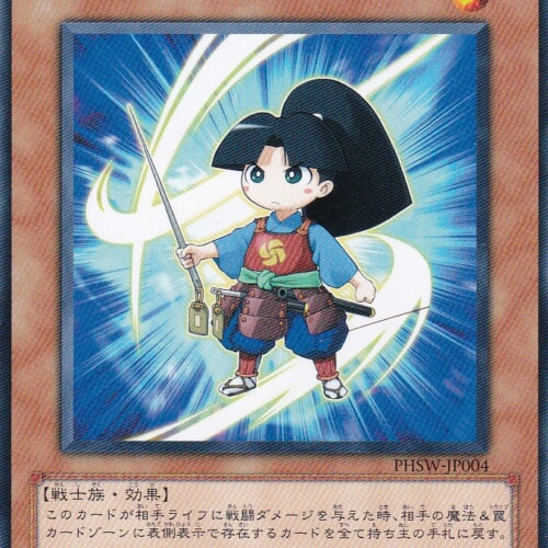 PHSW-JP004-N