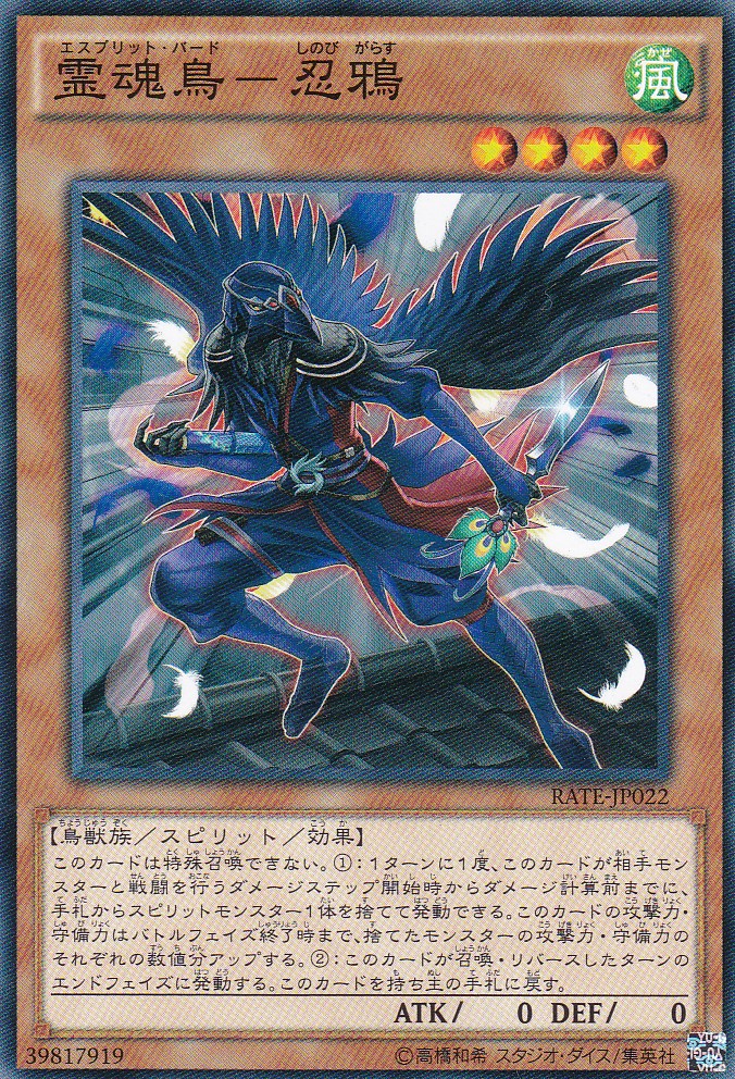 RATE-JP022-N