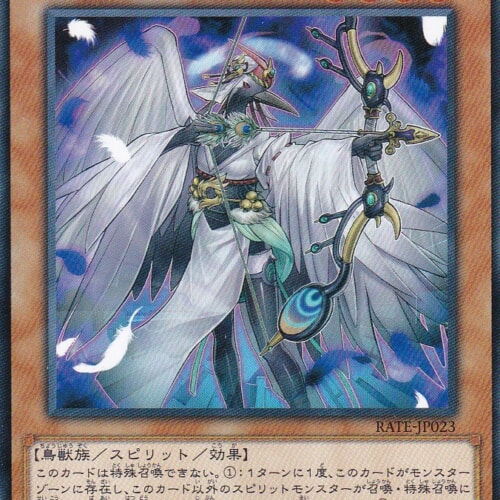 RATE-JP023-N