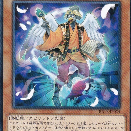RATE-JP024-N