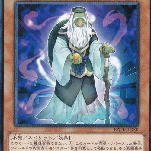 RATE-JP030-N