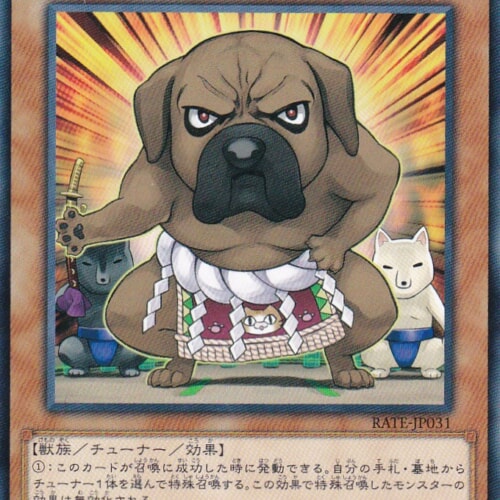 RATE-JP031-N