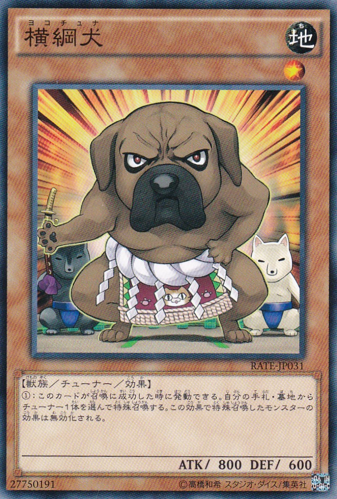 RATE-JP031-N