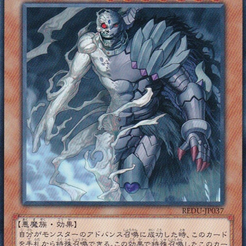 REDU-JP037-R