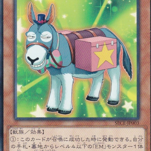 SECE-JP003-R