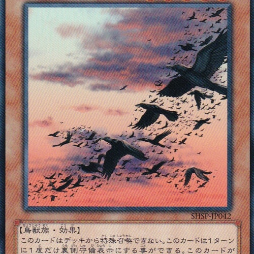 SHSP-JP042-R