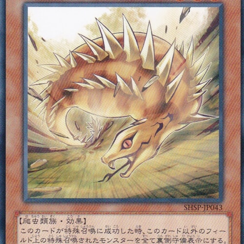 SHSP-JP043-N