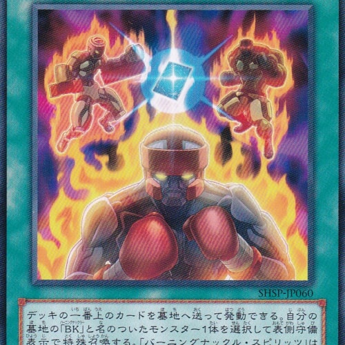 SHSP-JP060-R