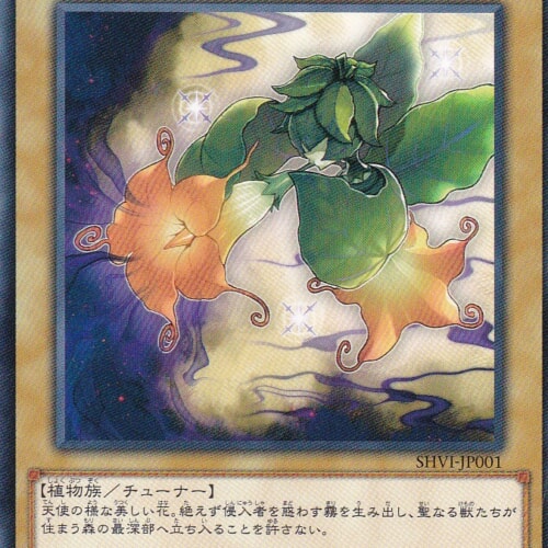 SHVI-JP001-N