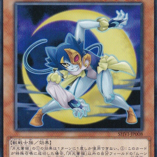 SHVI-JP008-R