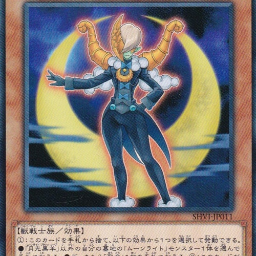 SHVI-JP011-N