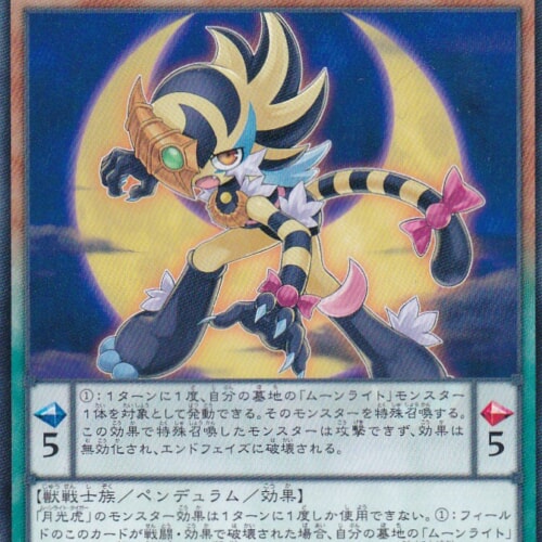 SHVI-JP013-N