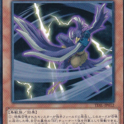 TDIL-JP012-N