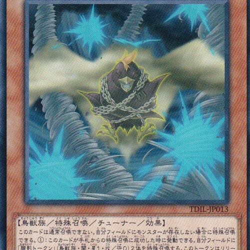 TDIL-JP013-N
