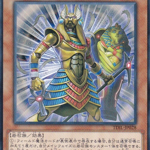 TDIL-JP028-N
