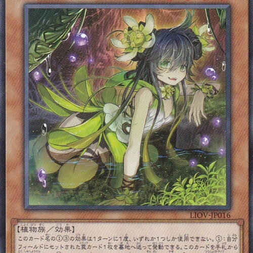 LIOV-JP016-N