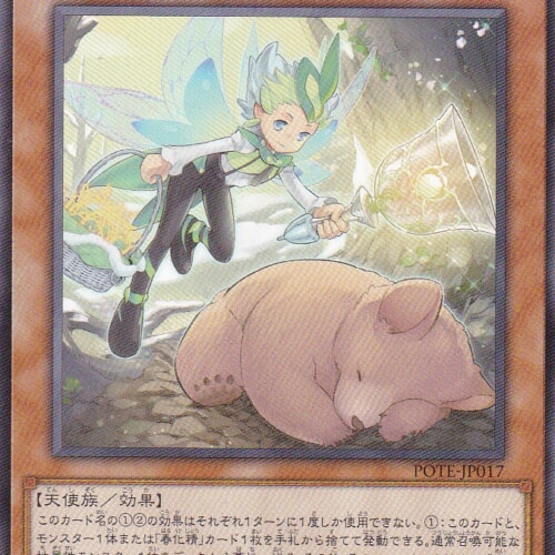 POTE-JP017-R