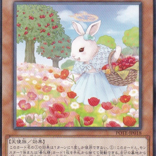 POTE-JP018-N