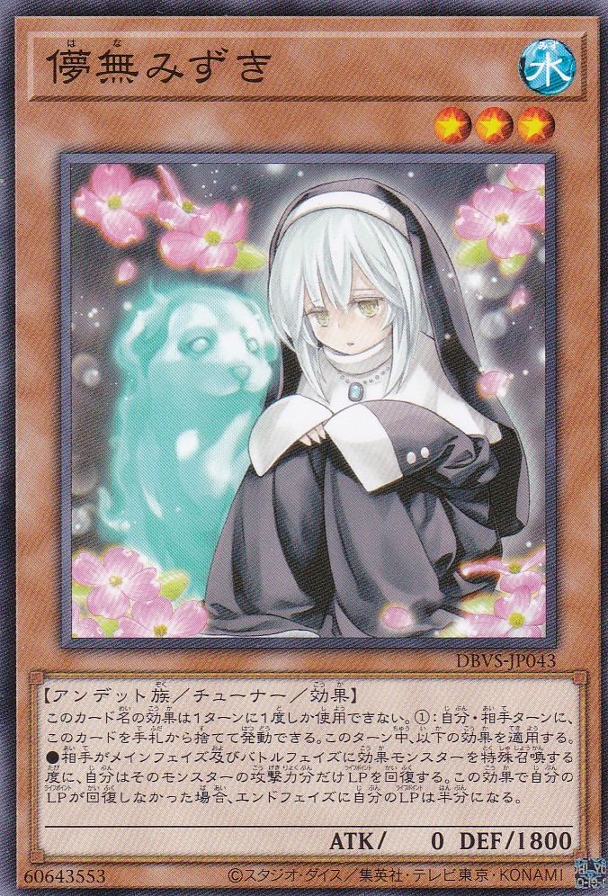 DBVS-JP043-N