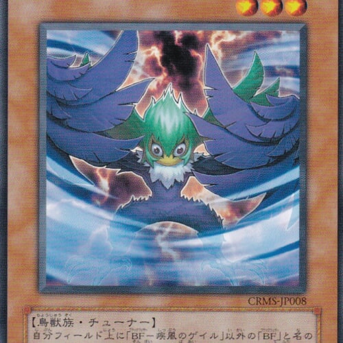 CRMS-JP008-N