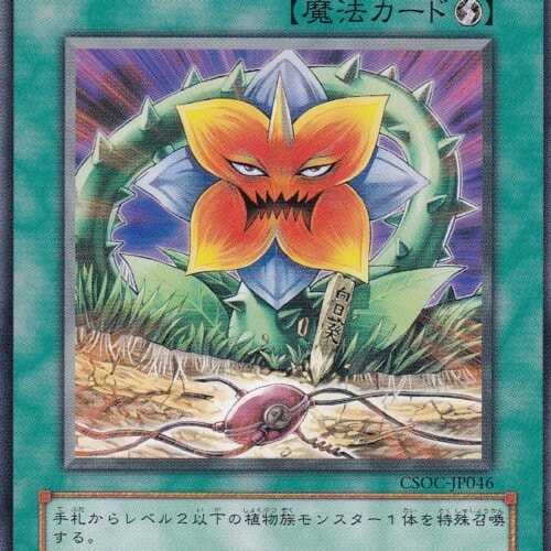 CSOC-JP046-N