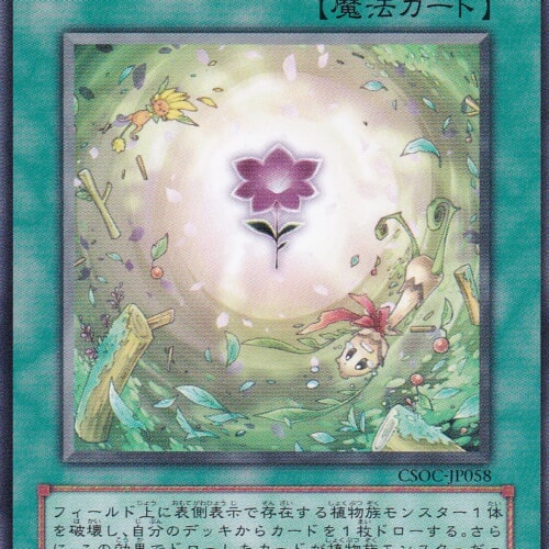 CSOC-JP058-N