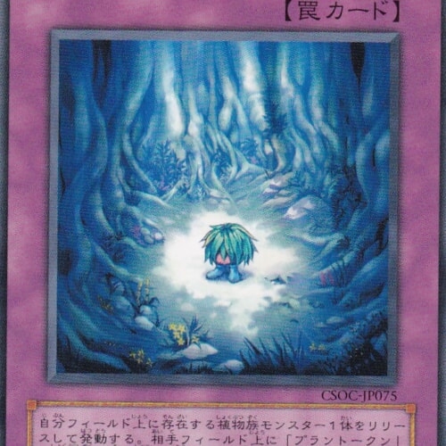 CSOC-JP075-N