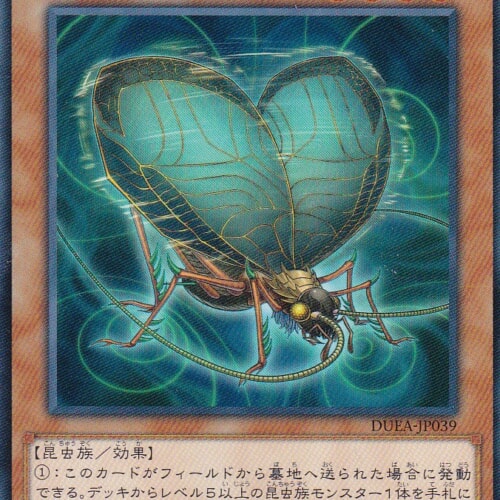 DUEA-JP039-N