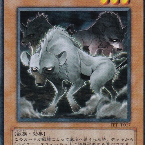 FET-JP017-N