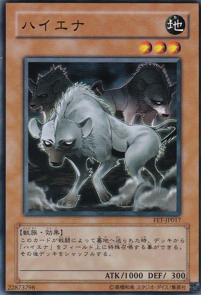 FET-JP017-N