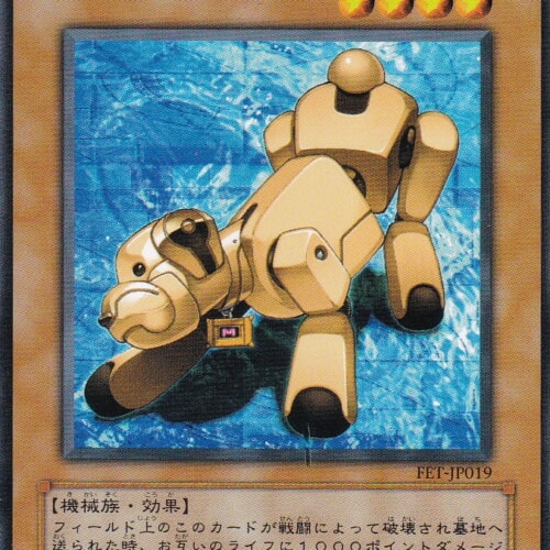 FET-JP019-N