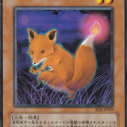 RDS-JP029-N