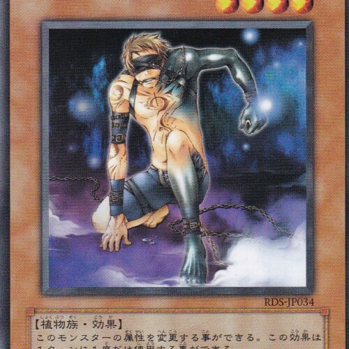RDS-JP034-N