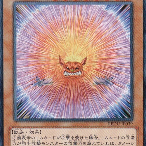 REDU-JP039-N