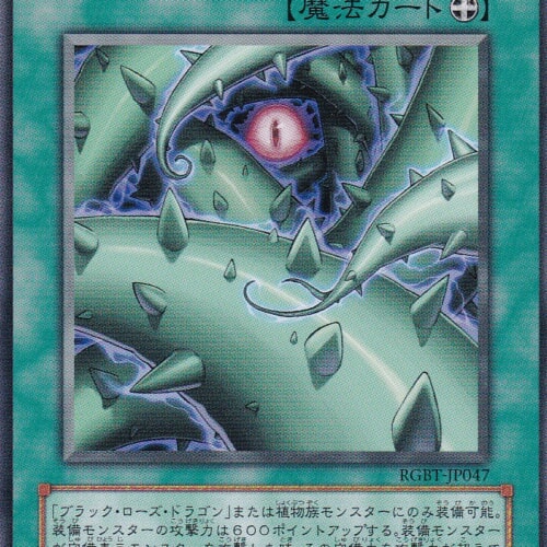 RGBT-JP047-N
