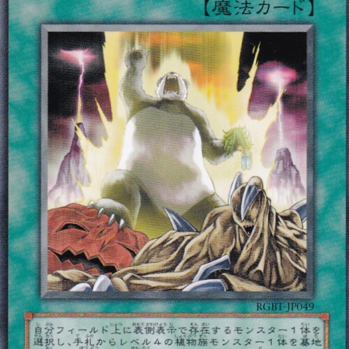RGBT-JP049-N