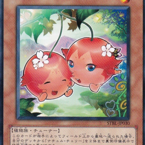 STBL-JP030-R
