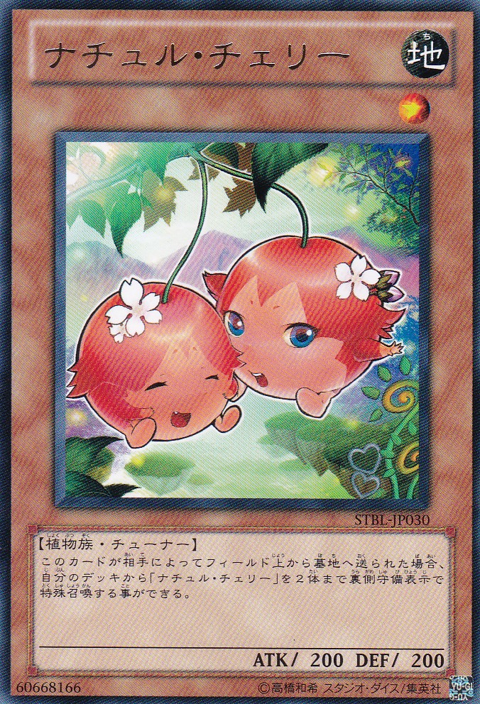 STBL-JP030-R