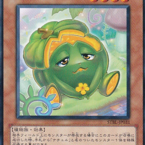 STBL-JP031-N