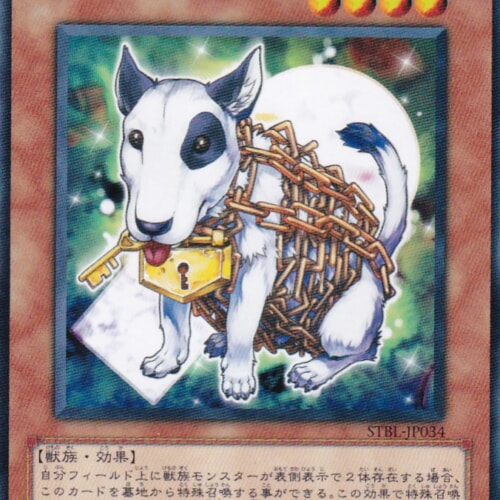 STBL-JP034-R